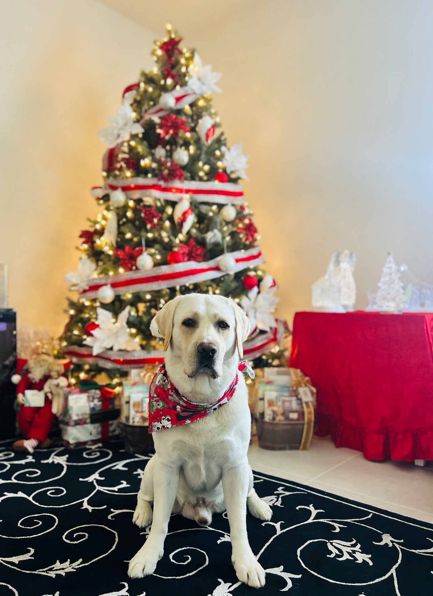 Christmas